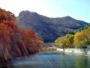 新澳门二四六天天彩，黑狼基地